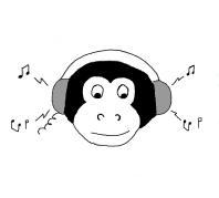 the monkey